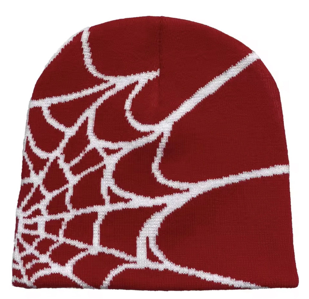 spider graphic beanie