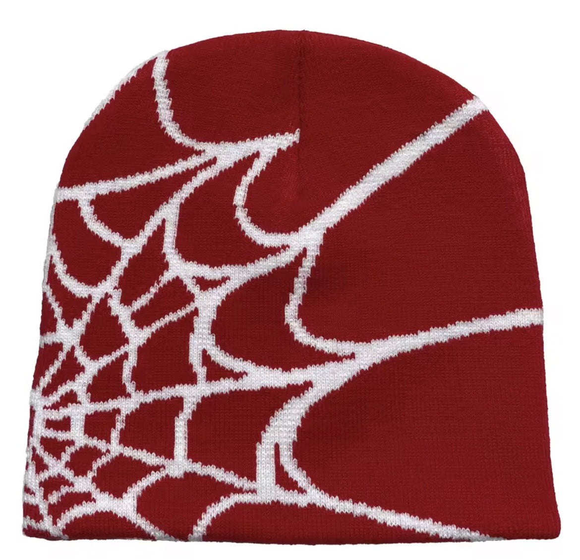 spider graphic beanie