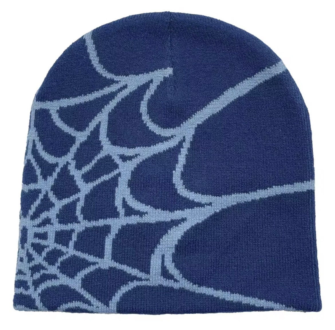 spider graphic beanie
